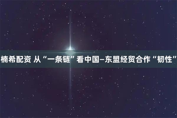 楠希配资 从“一条链”看中国—东盟经贸合作“韧性”